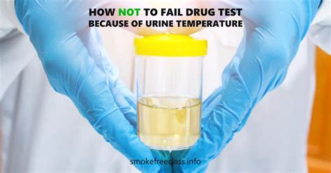 how to use fake pee for drug test female